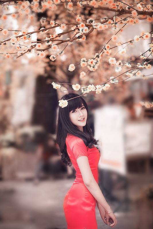 虐杀器官